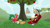 Size: 1920x1080 | Tagged: safe, screencap, big macintosh, discord, spike, dragon, g4, the big mac question, apple, apple tree, chair, map, paint bucket, tree, winged spike, wings