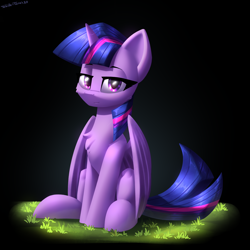 Size: 2400x2400 | Tagged: safe, artist:shido-tara, twilight sparkle, alicorn, pony, g4, female, grass, high res, lidded eyes, looking at you, mare, simple background, sitting, smiling, smirk, solo, twilight sparkle (alicorn)