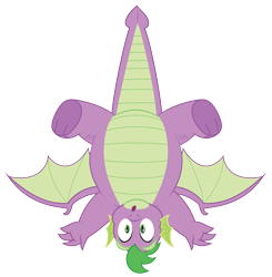 Size: 5133x5228 | Tagged: safe, artist:aleximusprime, spike, dragon, g4, :o, adult, adult spike, chubby, fat, fat spike, looking at you, male, older, older spike, open mouth, simple background, solo, transparent background, vector, winged spike, wings
