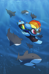 Size: 1000x1493 | Tagged: safe, artist:vultraz, part of a set, rainbow dash, pegasus, pony, shark, g4, diving, drawthread, female, requested art, scuba diving, scuba gear, solo, swimming, underwater, wetsuit