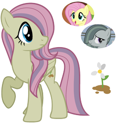 Size: 1700x1800 | Tagged: safe, artist:cherrycandi, fluttershy, marble pie, oc, oc:mallow, pegasus, pony, g4, base used, cutie mark, female, flower, fusion, fusion:marbleshy, lesbian, magical lesbian spawn, mare, offspring, parent:fluttershy, parent:marble pie, parents:marbleshy, raised hoof, ship:marbleshy, shipping, simple background, transparent background