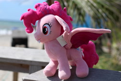 Size: 5184x3456 | Tagged: safe, photographer:thegreatmewtwo, pinkie pie, bat pony, pony, g4, bat ponified, beach, female, pinkiebat, race swap, solo