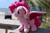 Size: 5184x3456 | Tagged: safe, photographer:thegreatmewtwo, pinkie pie, bat pony, pony, g4, bat ponified, beach, female, pinkiebat, race swap, solo