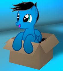 Size: 5826x6600 | Tagged: safe, artist:agkandphotomaker2000, oc, oc:pony video maker, pegasus, pony, box, cute, cute pegasus is cute, ocbetes, pony in a box, show accurate, simple background, smiling