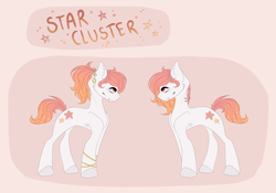 Size: 2926x2049 | Tagged: safe, artist:trigger-bolt, oc, oc only, oc:star cluster, earth pony, pony, earth pony oc, high res, reference sheet, solo
