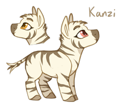 Size: 1195x1011 | Tagged: safe, artist:amiookamiwolf, oc, oc only, oc:kanzi, pony, zebra, colt, male, simple background, solo, transparent background