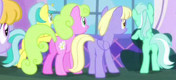 Size: 267x122 | Tagged: safe, screencap, daisy, drizzle, flower wishes, lemony gem, lyra heartstrings, pony, canterlot boutique, g4, season 5, butt, cropped, daisybutt, drizzlebutt, female, lemony butt, lyra hindstrings, lyrebutt, mare, plot