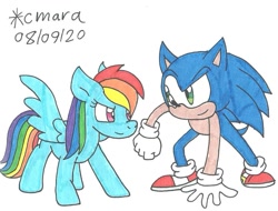 Size: 1124x855 | Tagged: safe, artist:cmara, rainbow dash, hedgehog, pegasus, pony, anthro, g4, clothes, crossover, duo, female, gloves, looking at each other, male, mare, shoes, simple background, sonic the hedgehog, sonic the hedgehog (series), traditional art, white background