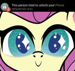 Size: 500x477 | Tagged: safe, screencap, fluttershy, pegasus, pony, g4.5, my little pony: pony life, the trail less trotten, :>, :c, colored pupils, cute, face, faic, female, frown, giantshy, head, looking at you, mare, meme, shyabetes, smiling, solo, starry eyes, this person tried to unlock your phone, weapons-grade cute, wingding eyes