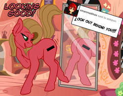 Size: 1083x847 | Tagged: safe, artist:stickerheart, oc, oc only, oc:pun, earth pony, human, pony, ask pun, anime, ask, butt, mirror, plot, solo