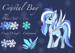 Size: 2387x1694 | Tagged: safe, artist:crystalbay, oc, oc only, oc:crystal bay, pegasus, pony, blue, clothes, coat, color, crystal, female, mare, pegasus oc, reference sheet, snow, snowflake, solo, wings