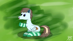 Size: 1920x1080 | Tagged: safe, artist:matyas451, oc, oc only, oc:sweet cookie, oc:sweetcookie, pegasus, pony, clothes, green background, male, pegasus oc, simple background, smiling, socks, solo, stallion, striped socks