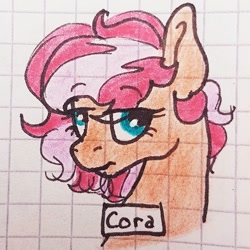 Size: 1080x1080 | Tagged: safe, artist:galaxy.in.mind, oc, oc only, oc:cora, earth pony, pony, bust, earth pony oc, female, frown, graph paper, mare, traditional art