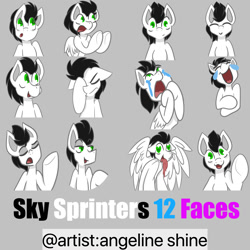 Size: 2000x2000 | Tagged: safe, artist:angeline shine, artist:skysprinter, edit, oc, oc only, oc:skysprinter, pony, crying, drool, expressions, face, facehoof, happy, high res, hooves, love, smiling, smirk, smug, stare