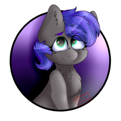 Size: 1280x1280 | Tagged: safe, artist:diantrex, oc, oc only, oc:mae, earth pony, pony, circle, halfbody, happy, purple mane, smiling, solo