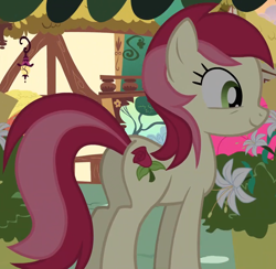 Size: 1596x1557 | Tagged: safe, screencap, roseluck, earth pony, pony, a friend in deed, g4, butt, butt tail, cropped, cute, female, plot, rosabetes, rosebutt, smiling, solo