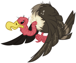 Size: 1024x848 | Tagged: safe, artist:andoanimalia, bird, vulture, g4, the ticket master, simple background, solo, transparent background, vector
