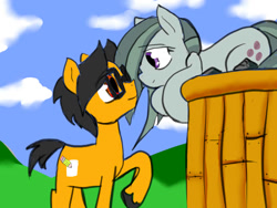 Size: 960x720 | Tagged: safe, artist:a.s.e, marble pie, oc, oc:a.s.e, pony, g4, canon x oc, couple, duo, female, glasses, happy, looking at each other, love, male, shipping