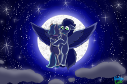 Size: 3000x2000 | Tagged: safe, artist:evelyncat, coco pommel, soarin', earth pony, pegasus, pony, g4, cloud, female, flying, high res, male, moon, night, shipping, soarinpommel, stars, straight