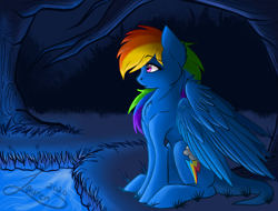 Size: 2685x2038 | Tagged: safe, artist:shadowdash44, rainbow dash, pegasus, pony, g4, backwards cutie mark, female, high res, moonlight, sitting, solo, thinking, wings