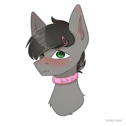 Size: 1800x1800 | Tagged: source needed, safe, artist:aay41x, oc, oc only, oc:dante fly, hybrid, pony, blushing, collar, fangs, hairpin, half bat pony, male, solo