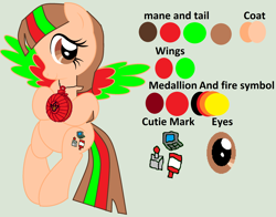 Size: 2312x1816 | Tagged: safe, artist:twidashfan1234, oc, oc only, oc:firefly solstice, pegasus, pony, base used, reference sheet, solo