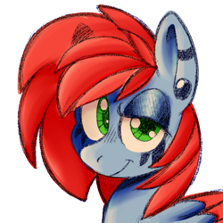 Size: 1000x1000 | Tagged: safe, artist:loopdalamb, oc, oc only, oc:cd r0m, oc:cdr0m, pegasus, pony, doodle, simple background, smiling, smirk, solo, transparent background