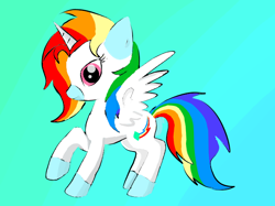 Size: 630x472 | Tagged: safe, artist:scribbles151, oc, alicorn, pony, alicorn oc, coat markings, horn, looking at you, multicolored hair, rainbow hair, simple background, socks (coat markings), wings