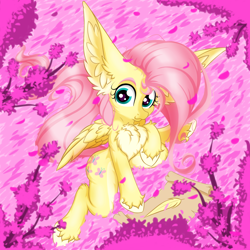 Size: 2500x2500 | Tagged: safe, artist:rurihal, fluttershy, pegasus, pony, g4, :3, big ears, chest fluff, cute, ear fluff, feather, female, high res, hoof fluff, impossibly large ears, looking at you, mare, pale belly, raised hoof, scroll, shyabetes, solo, unshorn fetlocks