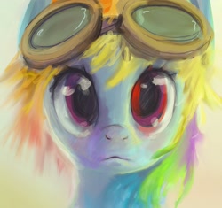 Size: 1909x1795 | Tagged: safe, artist:mandumustbasukanemen, rainbow dash, pegasus, pony, g4, bust, female, front view, full face view, goggles, looking at you, mare, portrait, solo