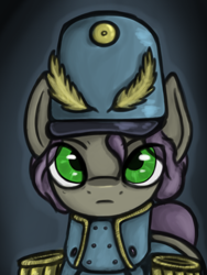 Size: 3000x4000 | Tagged: safe, artist:leo the pone, oc, oc only, oc:general fine beam, pony, balefire blues, bust, clothes, green eyes, hearts of iron 4, male, portrait, solo, uniform