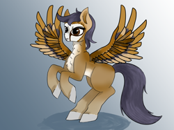 Size: 1600x1200 | Tagged: safe, artist:inanimatelotus, oc, oc only, bird, owl, owl pony, pegasus, pony, gradient background, rearing, simple background, solo, spread wings, wings