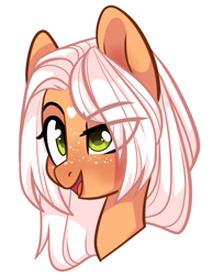 Size: 937x1209 | Tagged: safe, artist:lazycloud, oc, oc only, oc:orange fizz, pony, bust, eye clipping through hair, female, mare, portrait, simple background, solo, transparent background