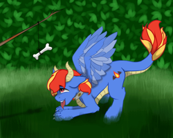 Size: 960x768 | Tagged: safe, artist:dark_nidus, oc, oc only, oc:draco flames, original species, pony, behaving like a dog, bone, carrot on a stick, collar, commission, cutie mark, outdoors, solo, tongue out, wings, ych result