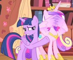 Size: 1480x1233 | Tagged: safe, screencap, princess cadance, twilight sparkle, alicorn, pony, g4, three's a crowd, colored wings, disgusted, duo, duo female, facewing, female, golden oaks library, hiding behind wing, hoof shoes, mare, sisters-in-law, twilight sparkle (alicorn), wings