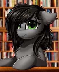Size: 1446x1764 | Tagged: safe, artist:pridark, oc, oc only, oc:vyden, earth pony, pony, :3, book, bookshelf, bust, chest fluff, commission, library, looking at you, portrait, reflection, smiling, solo
