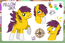 Size: 4000x2661 | Tagged: safe, artist:jennieoo, oc, oc only, oc:yellow jack, pegasus, pony, g4, blushing, coat markings, compass rose, cutie mark, pegasus oc, reference sheet, show accurate, smiling, smiling at you, socks (coat markings), solo, surprised, wings