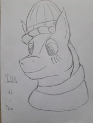 Size: 4608x3456 | Tagged: safe, artist:crainn, oc, oc only, pony, saddle arabian, helmet, history, solo, traditional art