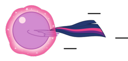Size: 375x180 | Tagged: safe, artist:mega-poneo, twilight sparkle, alicorn, pony, g4, ambiguous gender, ball, crossover, levitation, magic, male, motion lines, rolling, self-levitation, simple background, solo, sonic the hedgehog (series), spin dash, spread wings, telekinesis, transparent background, twiball, twilight sparkle (alicorn), wings
