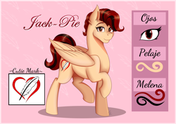 Size: 3132x2214 | Tagged: safe, artist:shamy-crist, oc, oc only, oc:jack pie, pegasus, pony, high res, reference sheet, solo