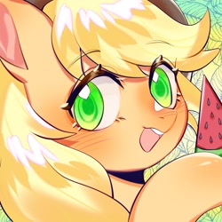 Size: 1754x1754 | Tagged: safe, artist:royal, part of a set, applejack, earth pony, pony, g4, blushing, bust, colored pupils, cute, female, food, jackabetes, looking at you, mare, open mouth, portrait, solo, summer, watermelon