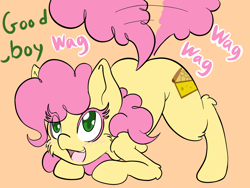 Size: 2048x1536 | Tagged: safe, artist:steelsoul, li'l cheese, pony, g4, the last problem, behaving like a dog, blushing, dialogue, femboy, good boy, male, open mouth, solo, stallion, tail wag