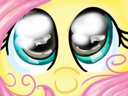 Size: 1024x768 | Tagged: safe, artist:lianzapa, fluttershy, pegasus, pony, g4, big eyes, face only, female, looking at you, mare, smiling, smiling at you, solo