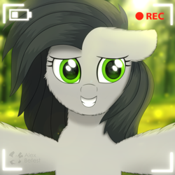 Size: 3000x3000 | Tagged: dead source, safe, artist:alexbefest, oc, oc only, pegasus, pony, brony, camera, forest, gray, green, high res, ibrony, mylittlebrony, selfie, solo, yellow