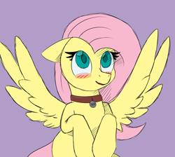 Size: 2048x1832 | Tagged: safe, artist:nevermore228, fluttershy, pegasus, pony, g4, blushing, collar, female, flutterpet, pet tag, pony pet, solo