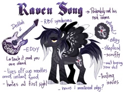 Size: 1024x768 | Tagged: safe, artist:azure-art-wave, oc, oc only, oc:raven song, pegasus, pony, guitar, male, musical instrument, reference sheet, solo, stallion