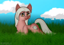 Size: 3096x2160 | Tagged: safe, artist:darbedarmoc, oc, oc only, oc:patty, earth pony, pony, art trade, chest fluff, cloud, ear fluff, grass, high res, looking at you, sky, solo