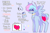 Size: 3003x1996 | Tagged: safe, artist:shinningblossom12, oc, oc only, oc:shinning blossom, pegasus, pony, blushing, choker, ear piercing, earring, female, heart, jewelry, mare, necklace, pegasus oc, piercing, reference sheet, solo, wings