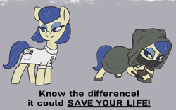 Size: 1692x1060 | Tagged: safe, artist:t72b, powder rouge, earth pony, pony, g4, armor, cloak, clothes, fantasy class, knife, know the difference, mask, pun, rogue, rouge angles of satin, sneaking, visual pun