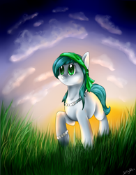 Size: 1376x1768 | Tagged: safe, artist:intfighter, oc, oc only, earth pony, pony, cloud, earth pony oc, grass, jewelry, necklace, outdoors, pearl necklace, signature, solo